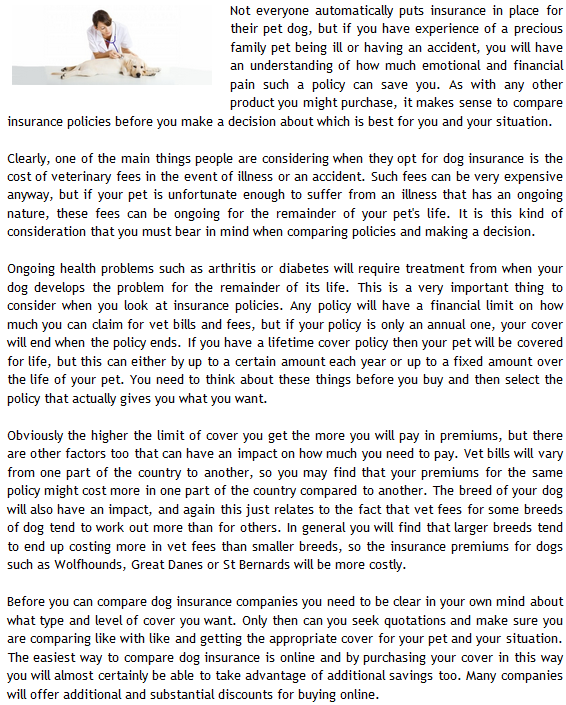 Dog insurance Comparing Dog Insurance Uk To Find The Best Pet