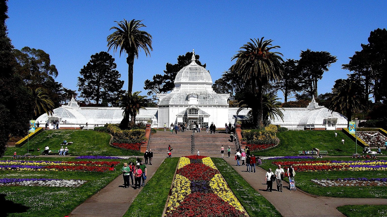 San Francisco Be Sure To Wear Flowers In Your Hair Flower Choices
