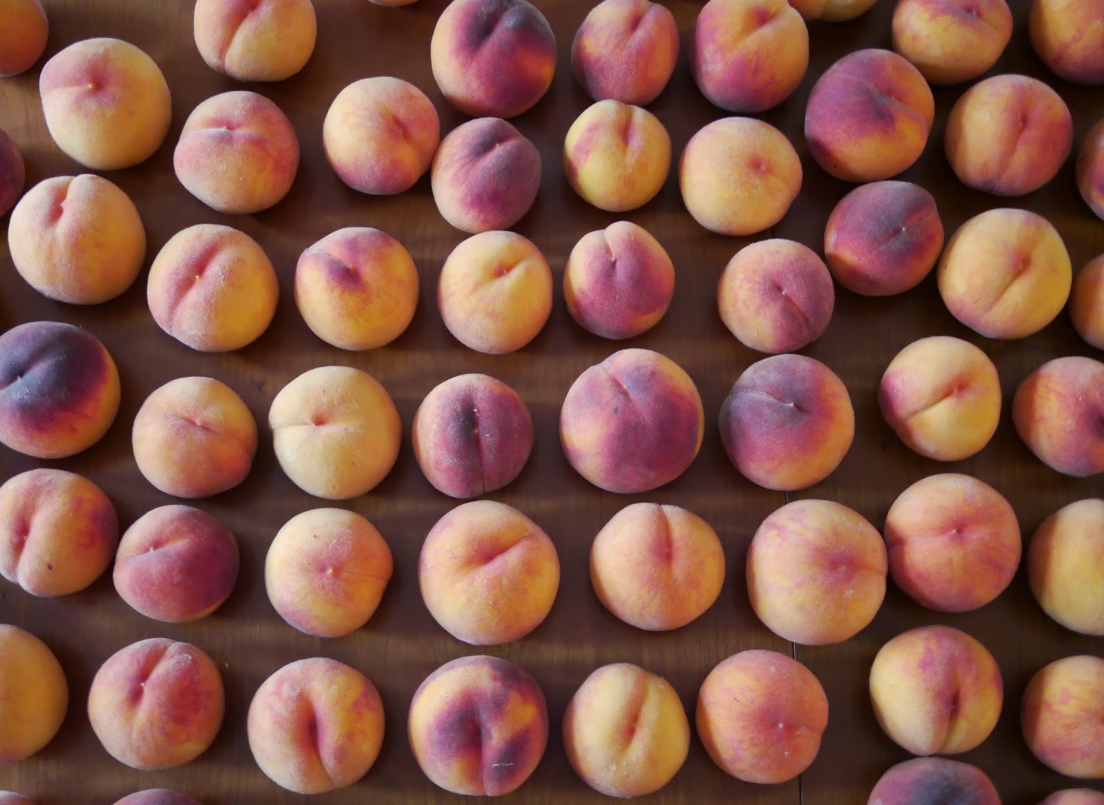 How to Can Peaches Backwoods Mama