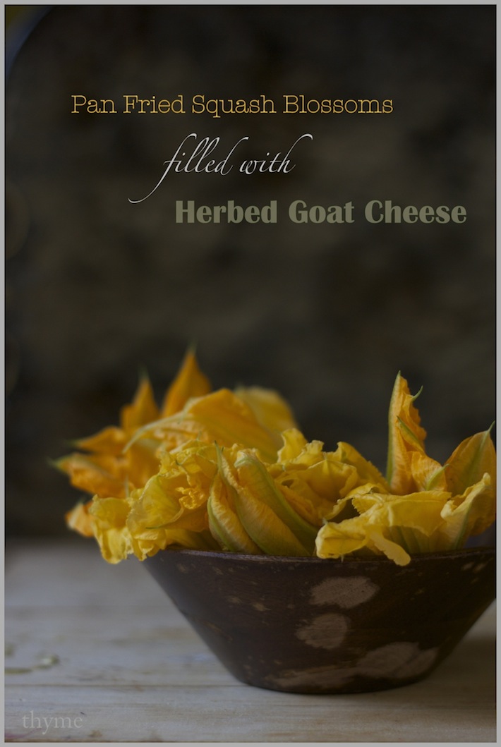 Thyme Pan Fried Squash Blossoms filled with creamy Herb Scented Goat