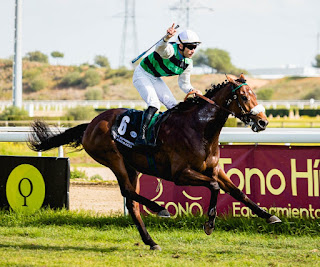 PUEYO 1º Pr.J.Piñar Hafner.