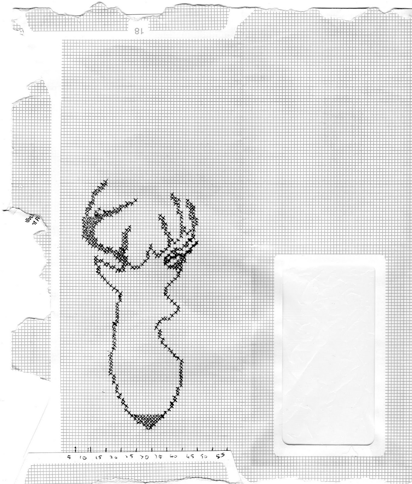 Duck Down Designs Free Deer head cross stitch pattern