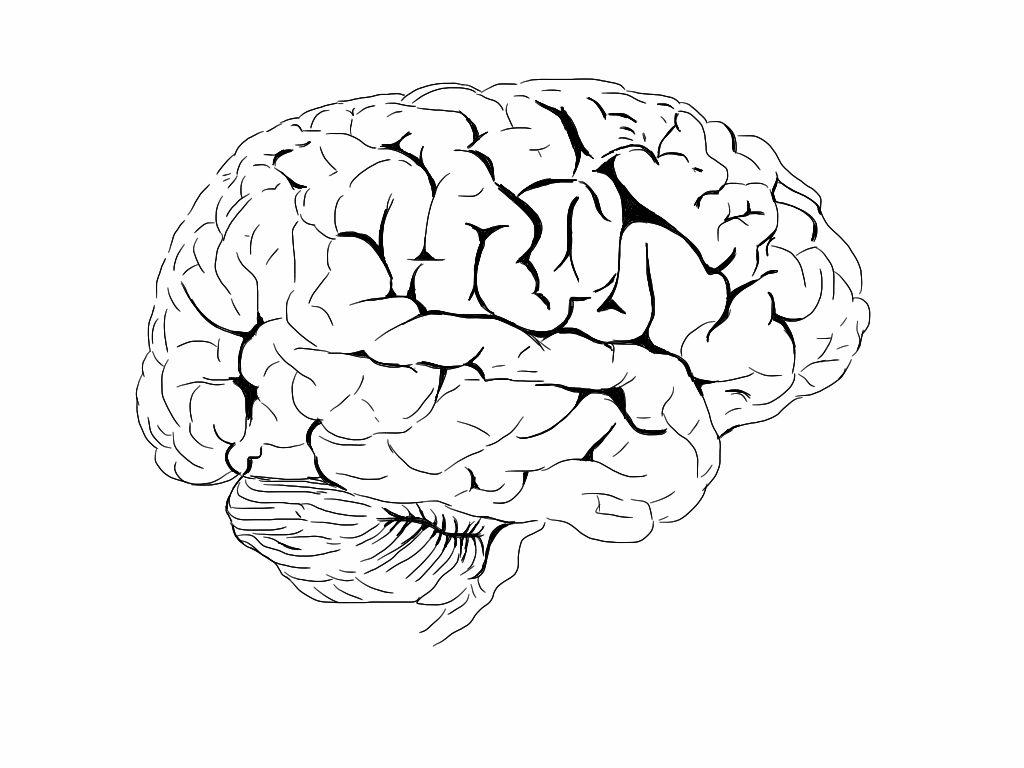 Brain Jack Image: Brain Coloring Book