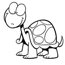 contoh gambar sketsa kura-kura