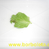 Como criar uma Borboleta - 3° Dia