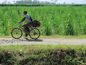 bicycle passing us