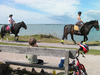 hayling billy line and bridleway with horses