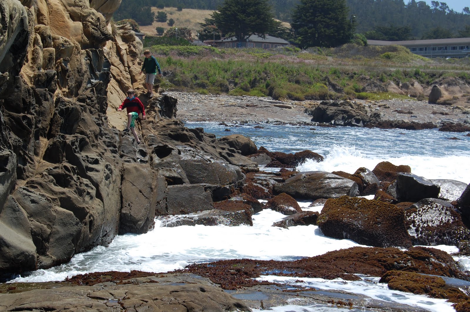 A Homegrown Life Camping at San Simeon State Beach