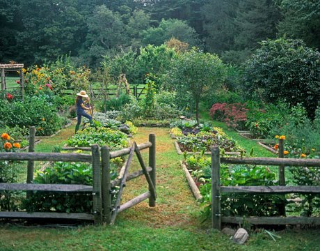 potager garden french hubbard lisa country layout found google