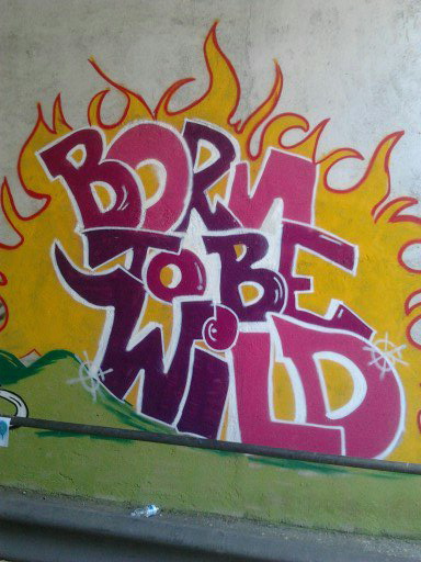 born to be wild