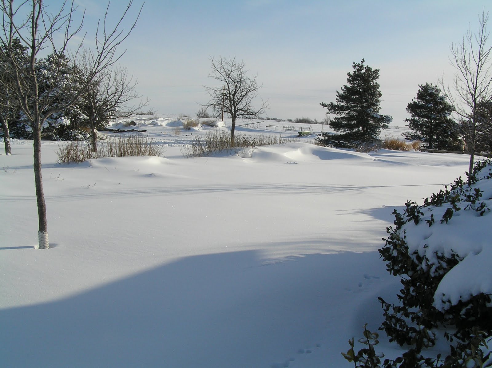 Kansas Snow Pictures