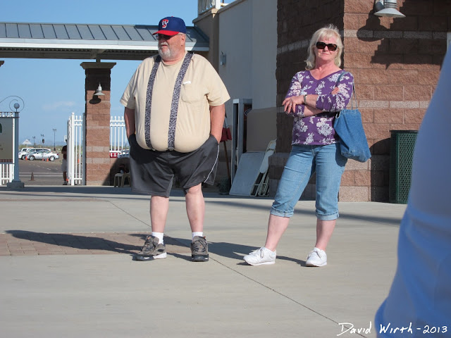 spring training baseball watchers