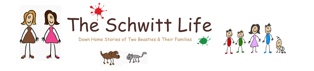 The Schwitt Life