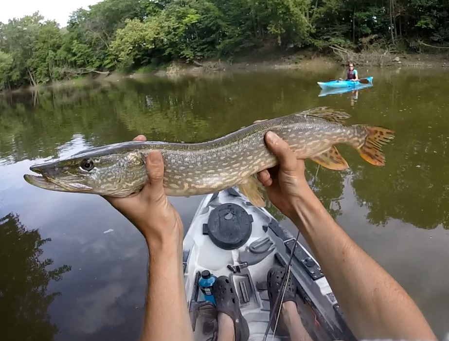 Indiana Kayak Fishing Journal 8/7/15 Another River Pike Adventure
