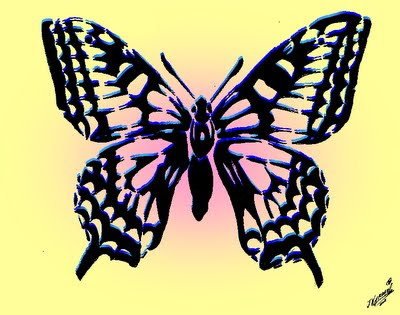 OMOIDE &amp; DREAMS.: Mariposas&hellip;(Butterflies&hellip;)