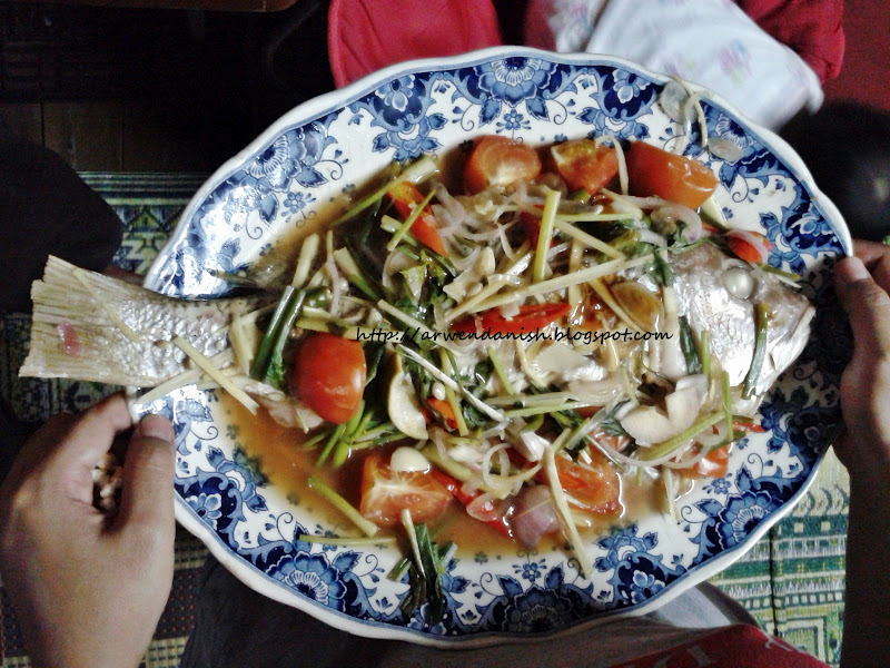 Ikan Stim Halia Lifestyle Blogger