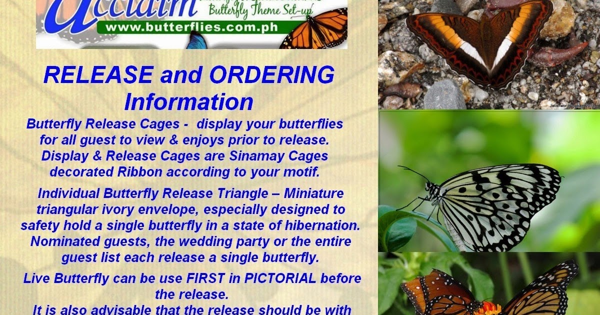 Acclaim Butterflies RELEASE and ORDERING Information