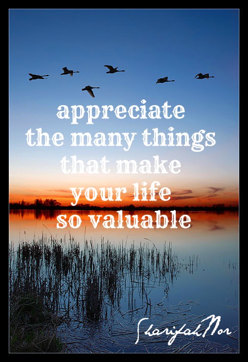 Precious Things Quotes. QuotesGram