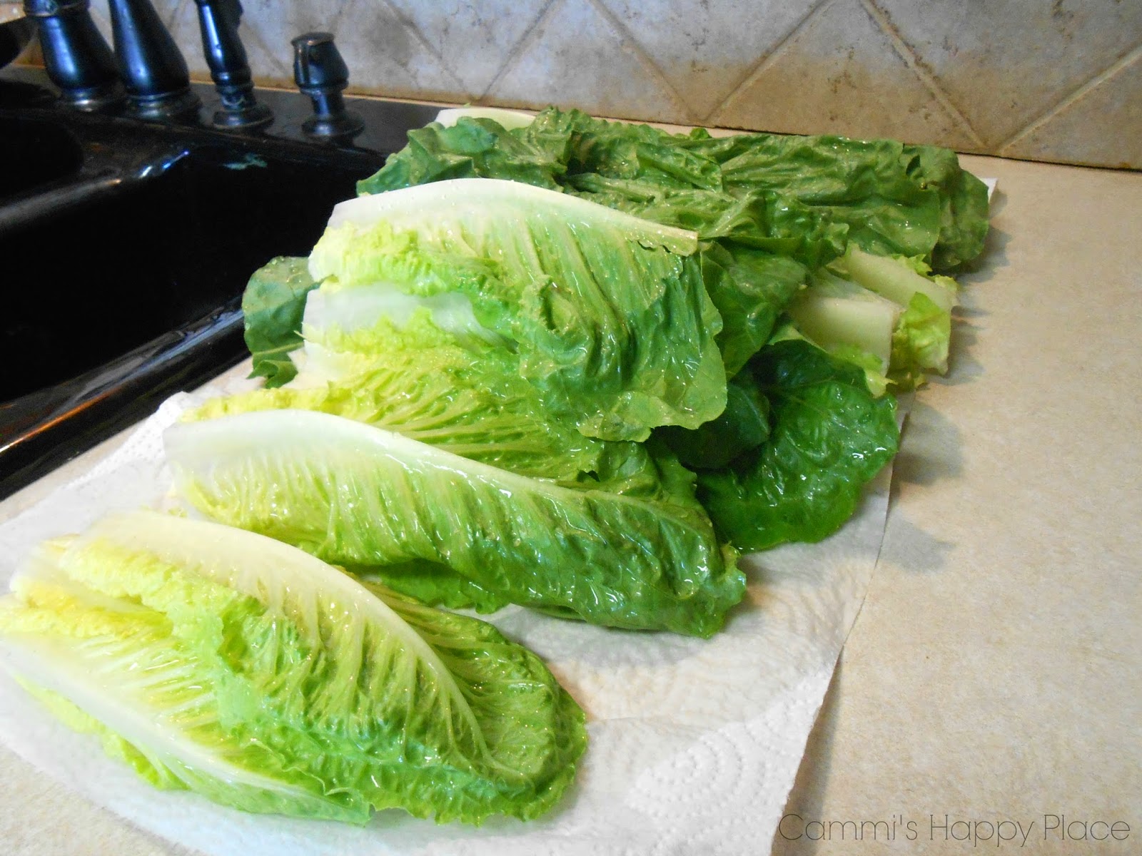 With another paper towel, wrap your lettuce and fit inside a gallon