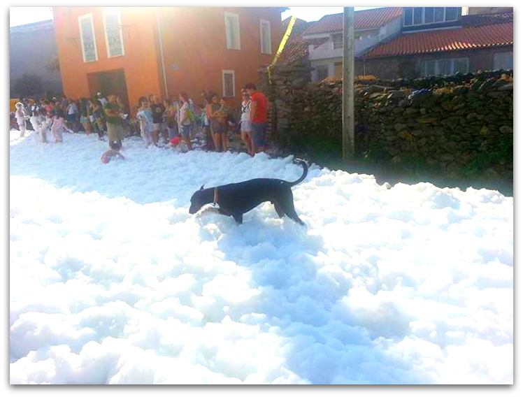 ENTRESIERRAS Revista Digital Salamanca Navarredonda de la Rinconada