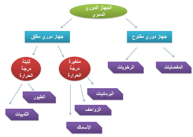 ينتمي الإنسان إلى المخلوقات الثابتة درجة الحرارة