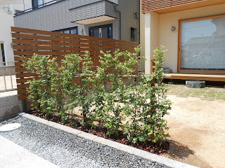 岡山の庭づくりと建築設計 By川のほとりのおもしろ荘 トキワマンサクの生垣