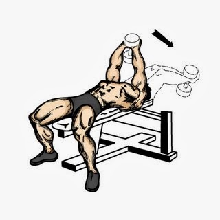 Kaslari Sisiren Arka Kol Hareketleri Bodyforum Blog