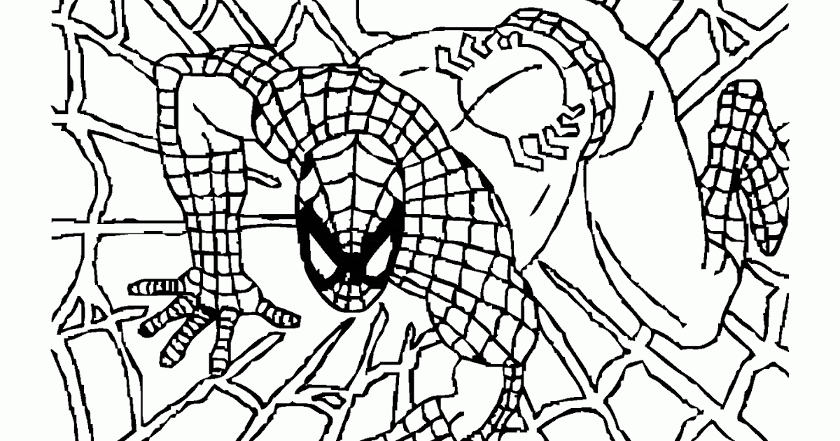 Mewarnai Gambar Spiderman Di Atas Jaring Laba-Laba - Contoh Anak PAUD