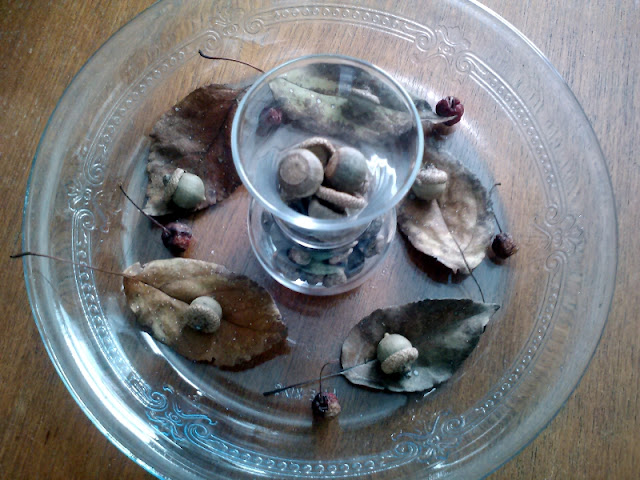 Acorns, leaves, berries, displayed for Autumn decoration on MWP