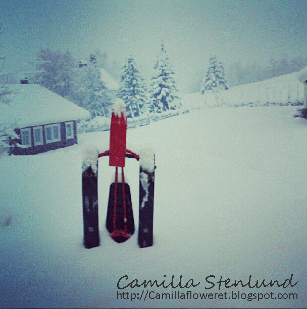 Våga bli bybo Snowracer