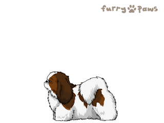 http://1.bp.blogspot.com/-4sGYPt3AxDk/UBNXaMDr2YI/AAAAAAAACtM/GHfJ-om4eqk/s320/Red+and+White+(Piebald)+with+Black+Sable+109.png