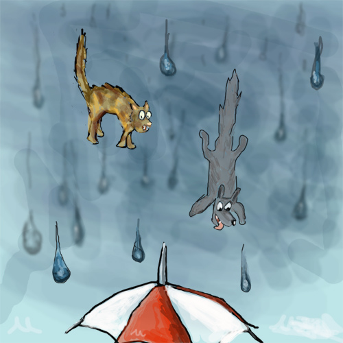 raining cats and dogs vivre sa vie raining cats dogs raining cats and dogs vivre sa vie raining cats dogs