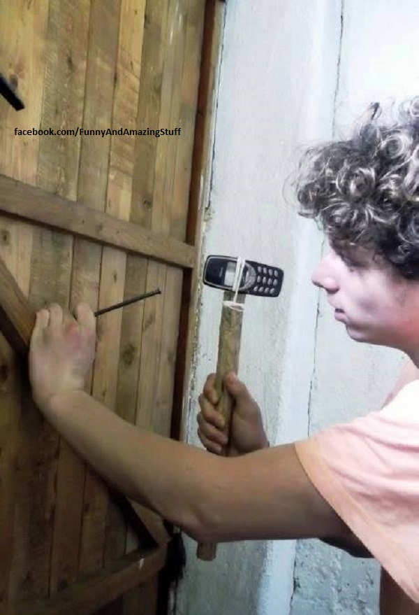 best funny and amazing pictures