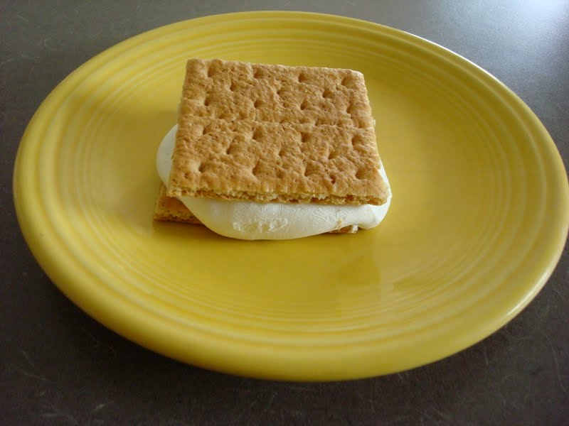 making it feel like home Frozen Yogurt Graham Cracker Sandwiches