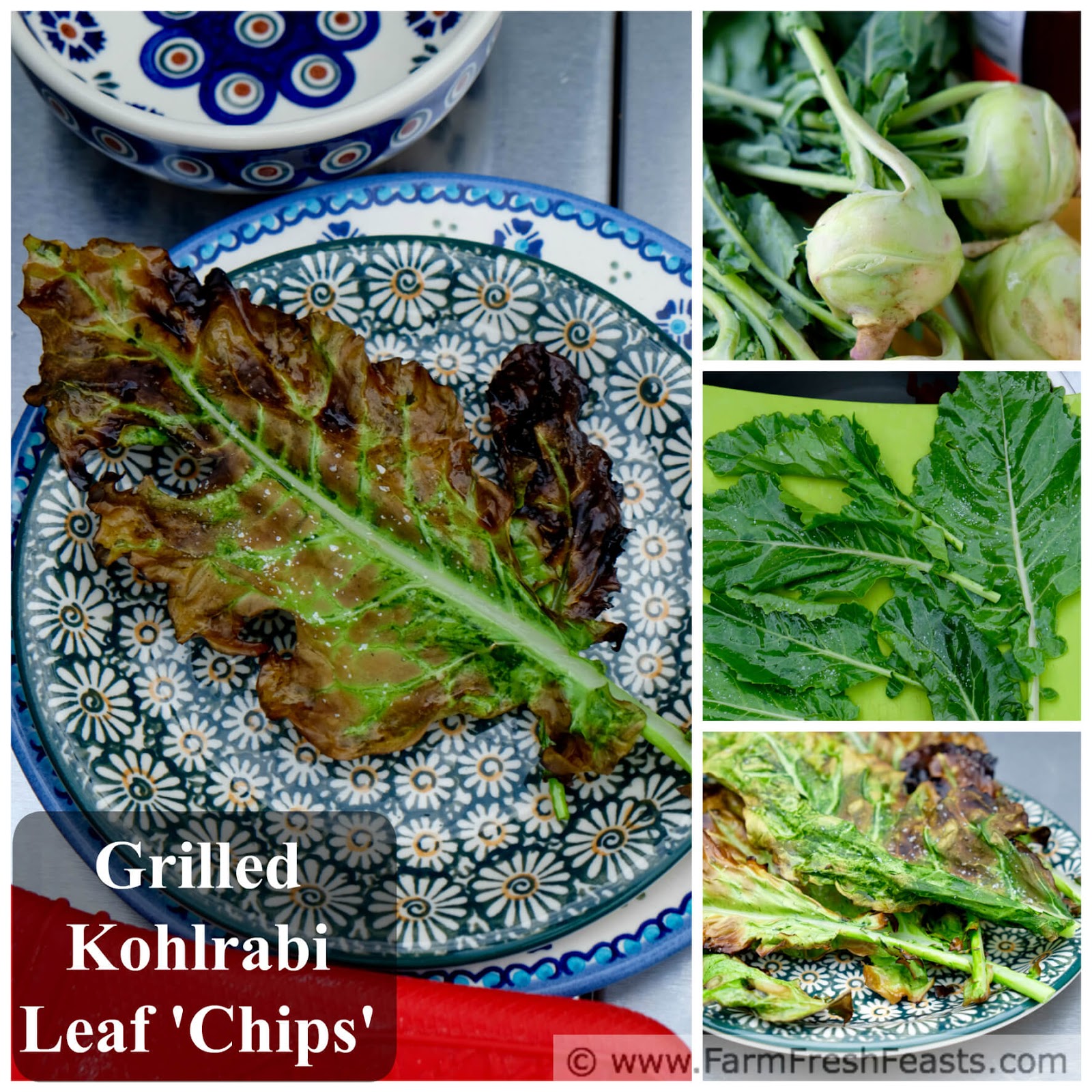 Farm Fresh Feasts Grilled Kohlrabi Leaf Chips on a Stick