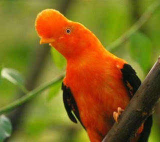 VISITA LA PROVINCIA DE LA COMVENCION QUILLABAMBA