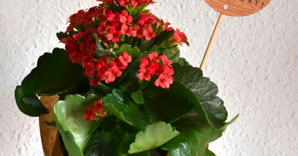 Mothers Day Card Fails To Avoid And How To Nail Your Tarjetas Del Día De La Madre Para Una This Year - facqb64
