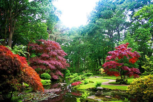 Jardín japones Un jardín con diversas flores de todo color.