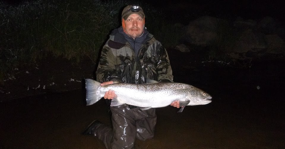 Salmon Fly Sea Trout Fishing On The River Towy Sewin Fishing On The
