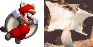 [NINTENDO DIRECT NEWS] Muitas novidades sobre o New Super Mario Bros. U Mario+esquilo