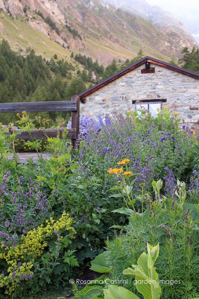 Grand Chamen. Jardín alpino de Giuseppina Marguerettaz en Aosta, Italia (Rosanna Castrini)