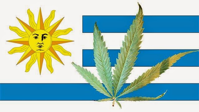 Uruguai legalizar a cannabis completamente