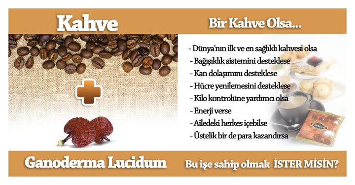 SAĞLIKTA REİSHİ MANTARI gano cafe classic