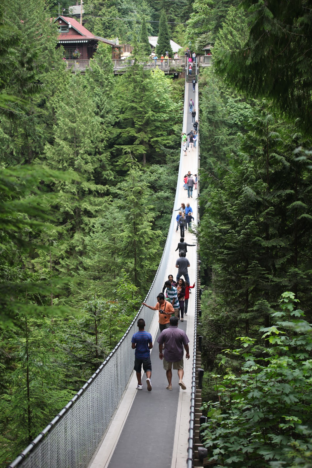 Mi Hotel Favorito Puentes Colgantes en Vancouver. "Capilano Suspension