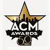 2015 ACM Awards Winners