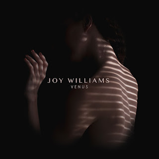 Joy Williams Album Venus