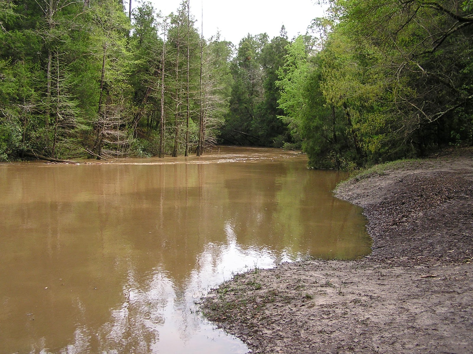 Texas Gypsies Styx River RV Park Robertsdale, AL