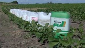 300.000 agricultores en Estados Unidos demandan a Monsanto. Images+(3)