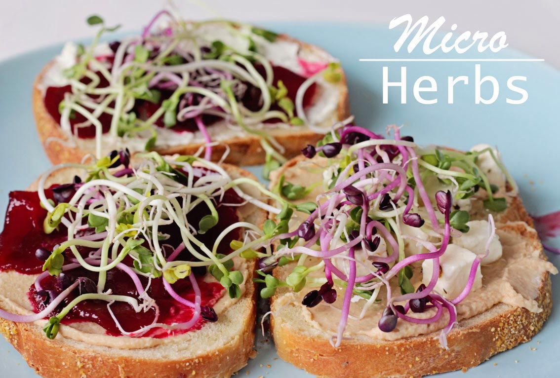 Elma's Kitchen Micro Herbs on my Lunch