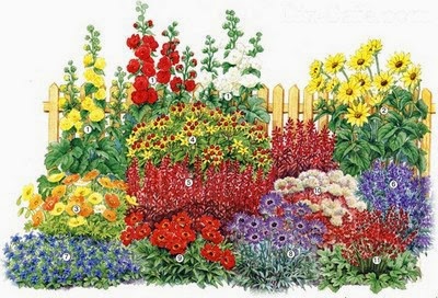 Цветники и клумбы из многолетников своими руками фото 281